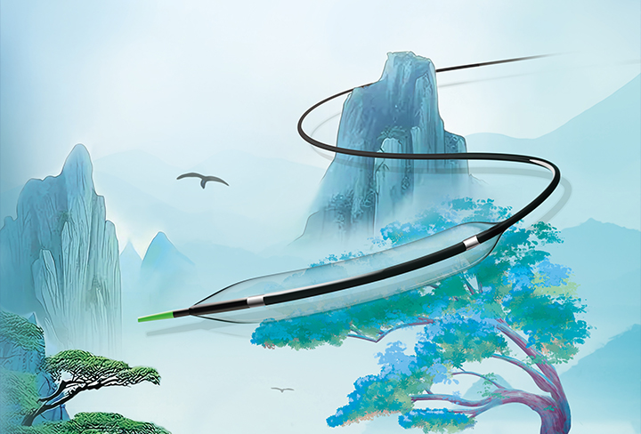 禄游®Luvjour 外周球囊扩张导管