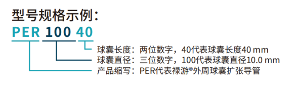 禄游®Luvjour 外周球囊扩张导管(图5)